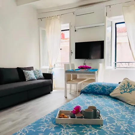 Seashells アルゲーロ