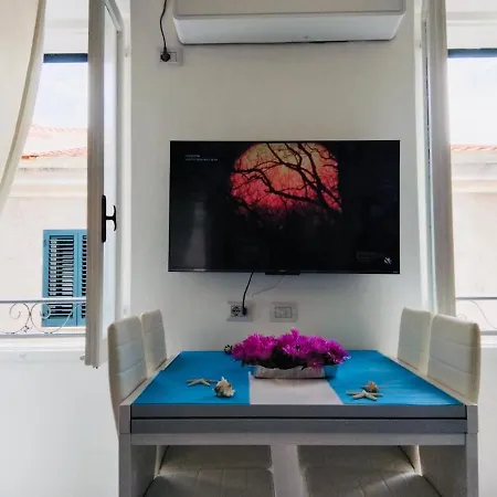 Seashells アルゲーロ