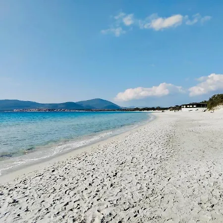 アパート Seashells