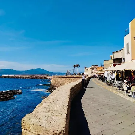 Seashells * Alghero